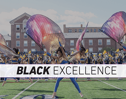 Black Excellence Pitch Deck