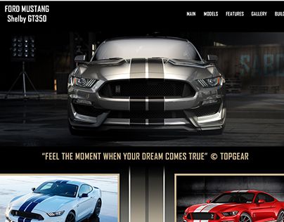 "FORD Mustang Shelby" Redesign.