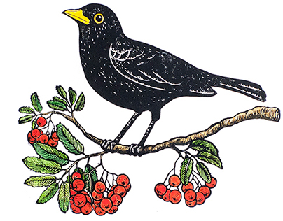 Hand-colored Linocut, Blackbird & Rowanberries