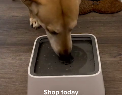 Non Spill Dog Water Bowl Facebook Ad Video Project