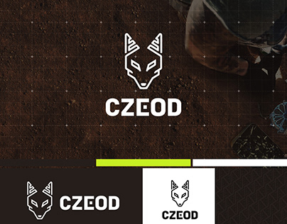 CZEOD logo and website design