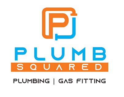 Project thumbnail - Plumb Squared Brand Creation