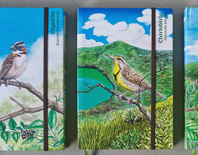 Libretas de notas - ilustraciones de aves colombianas