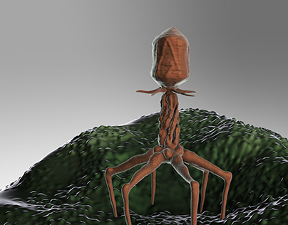3D Model of bacteriophage.