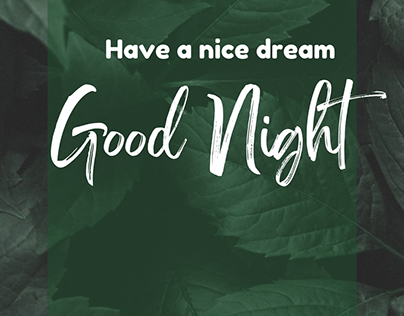 Have a nice dream Good Night