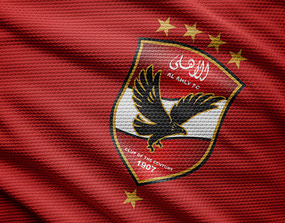 Project thumbnail - AL-AHLY FC 2024