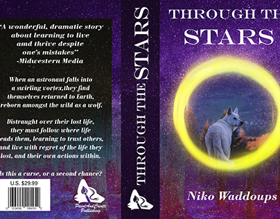 Mock Teen Fiction Book Cover: Through The Stars
