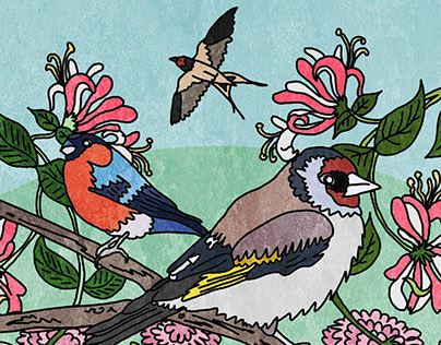 Illustration - Birds