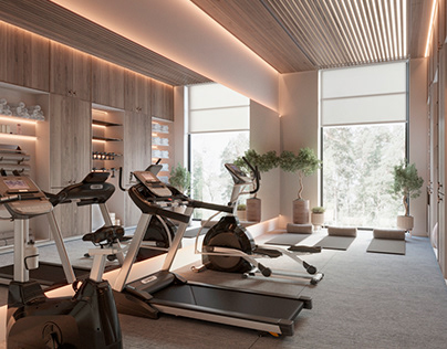 GYM IN THE MODERN HOUSE