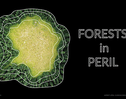 forests in peril | exhibition proposal