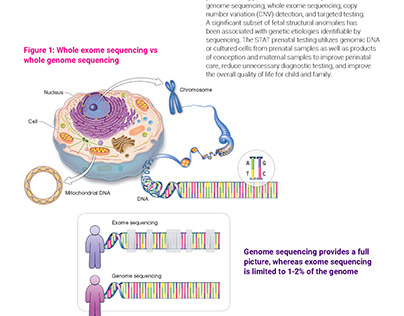 PerkinElmer Genomics Clinical Dossier 2022