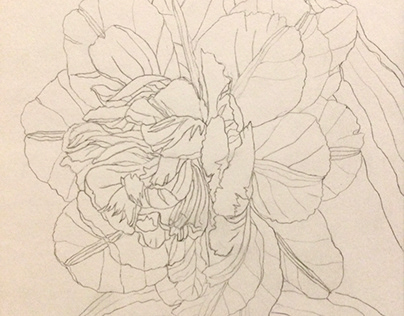 Flowers sketch tulip