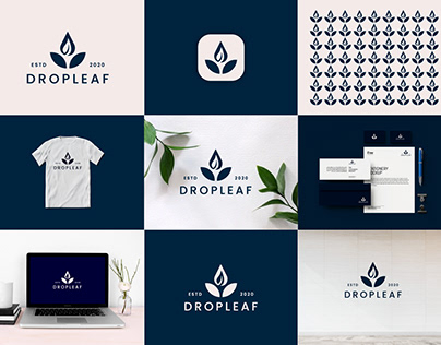 Drop + Leaf Logo Concept