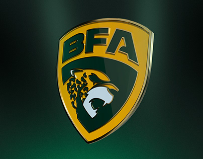 Branding Liga BFA
