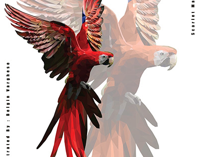 Low Poly Illustration - Scarlet macaw