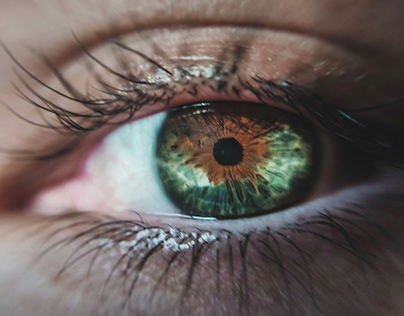 Undersøgelse: Muligt at genoprette tabt syn hos voksne