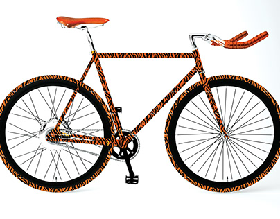 Frames for "Single Speed" bicycles