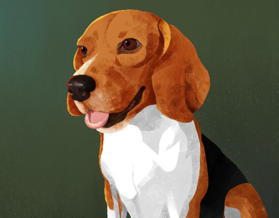 Dog Portrait_Beagle