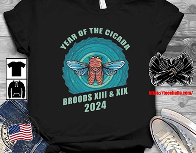 Year of the Cicada Broods XIII & XIX 2024 T-shirt