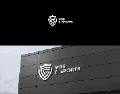 VGS eSports team