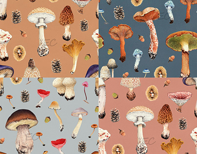 Mushrooms Pattern Collection