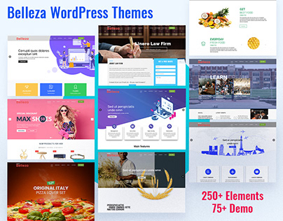 Belleza Responsive WordPress Themes