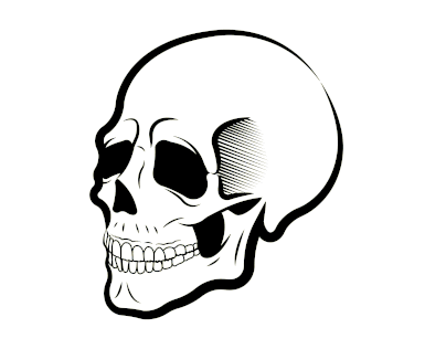 skull gif practice