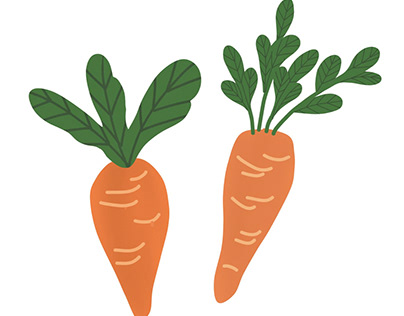 illustration carrots