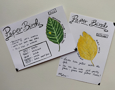 Botany cards