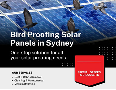 Bird Proofing Solar Panels in Sydney