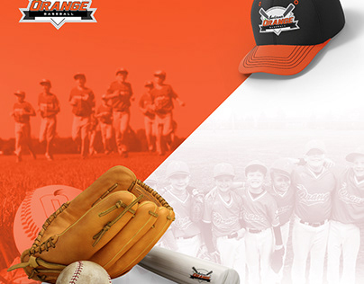 Website for Youth Baseball Organization
