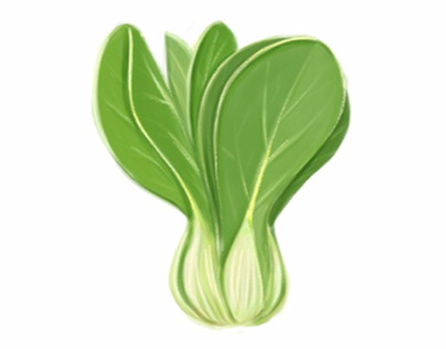 Bok Choy plant painting