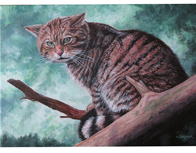 Scottish wildcat step by step - acrylics