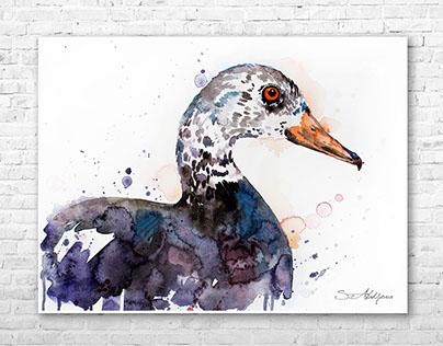 White-winged duck watercolor painting by Slaveika Aladj
