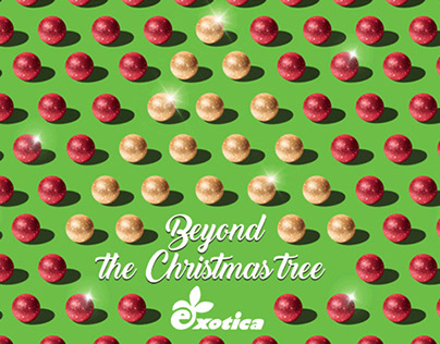 Exotica Christmas Campaign 2017