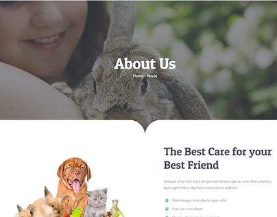 Veterinarian Website (About Page)