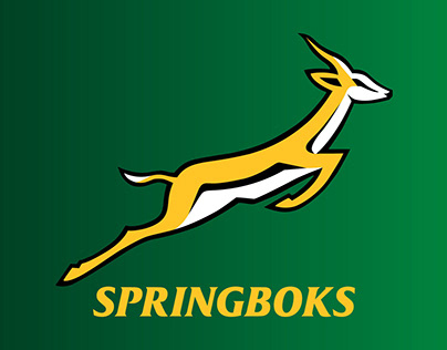 Springboks CI Simplification & Progression