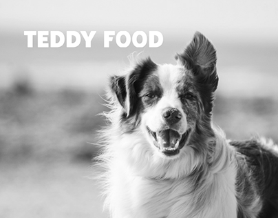 Презентация TEDDY FOOD | concept
