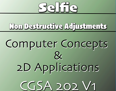 Selfie *Non-Destructive Adjustment* Project