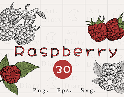Minimalistic raspberry colorful and line art