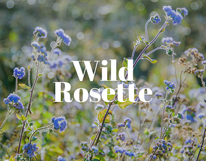 Wild Rosette