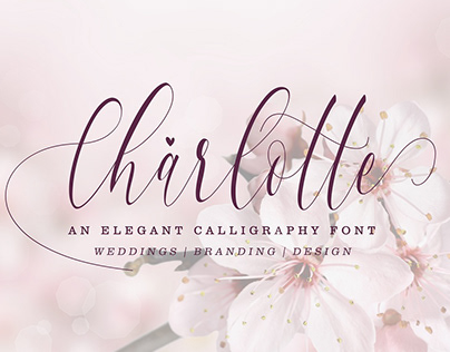 Charlotte Calligraphy Font (Free Download)