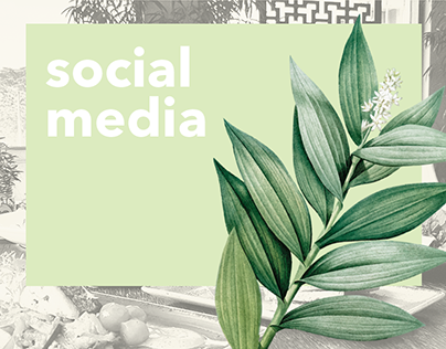 Social Media / Organic Caffe