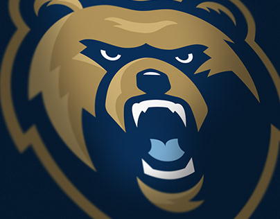 Pulaski Academy Bruins Rebrand