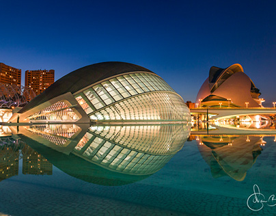 City of Arts & Science, Valencia