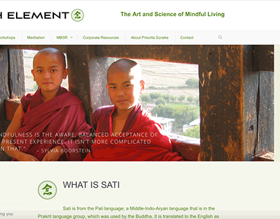 Seventh Element Website