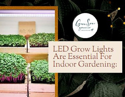 When Gardening Indoors, Plants Require LED Grow Lights: