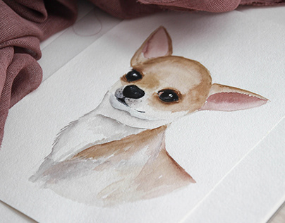 Chihuahua drawing watercolor