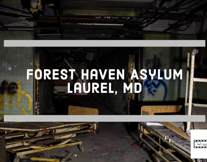 Forest Haven Asylum
