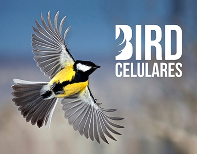 Rebranding - Bird Celulares